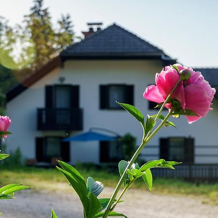 Apartments Zakrasnik Škofja Loka Kültér fotó