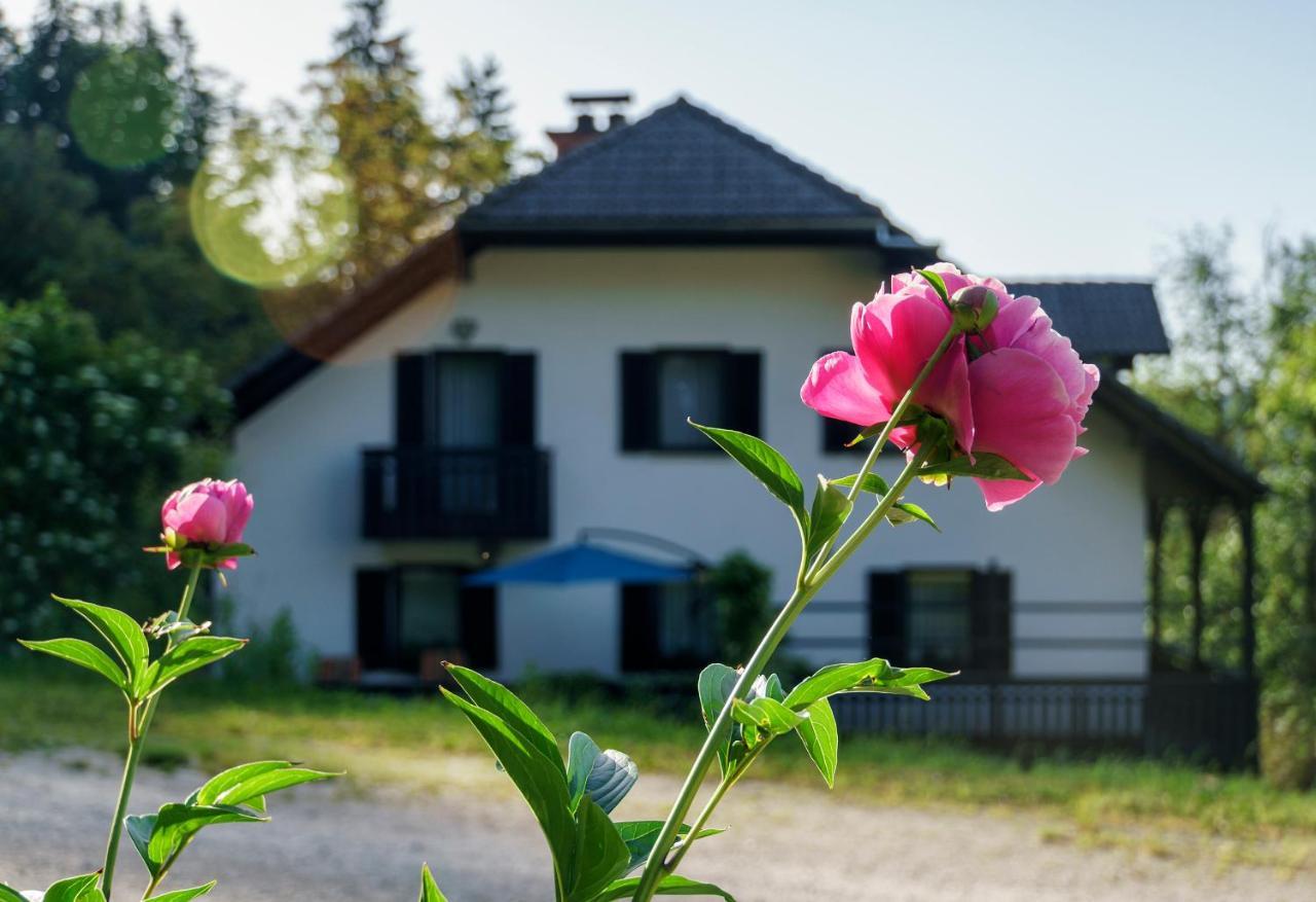 Apartments Zakrasnik Škofja Loka Kültér fotó
