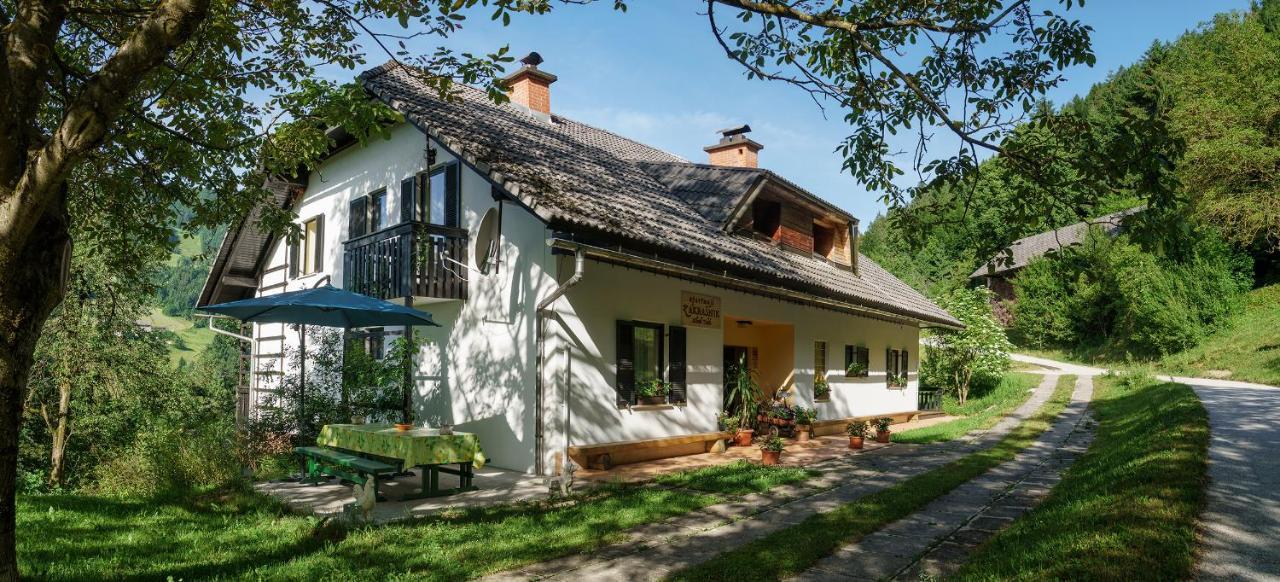 Apartments Zakrasnik Škofja Loka Kültér fotó