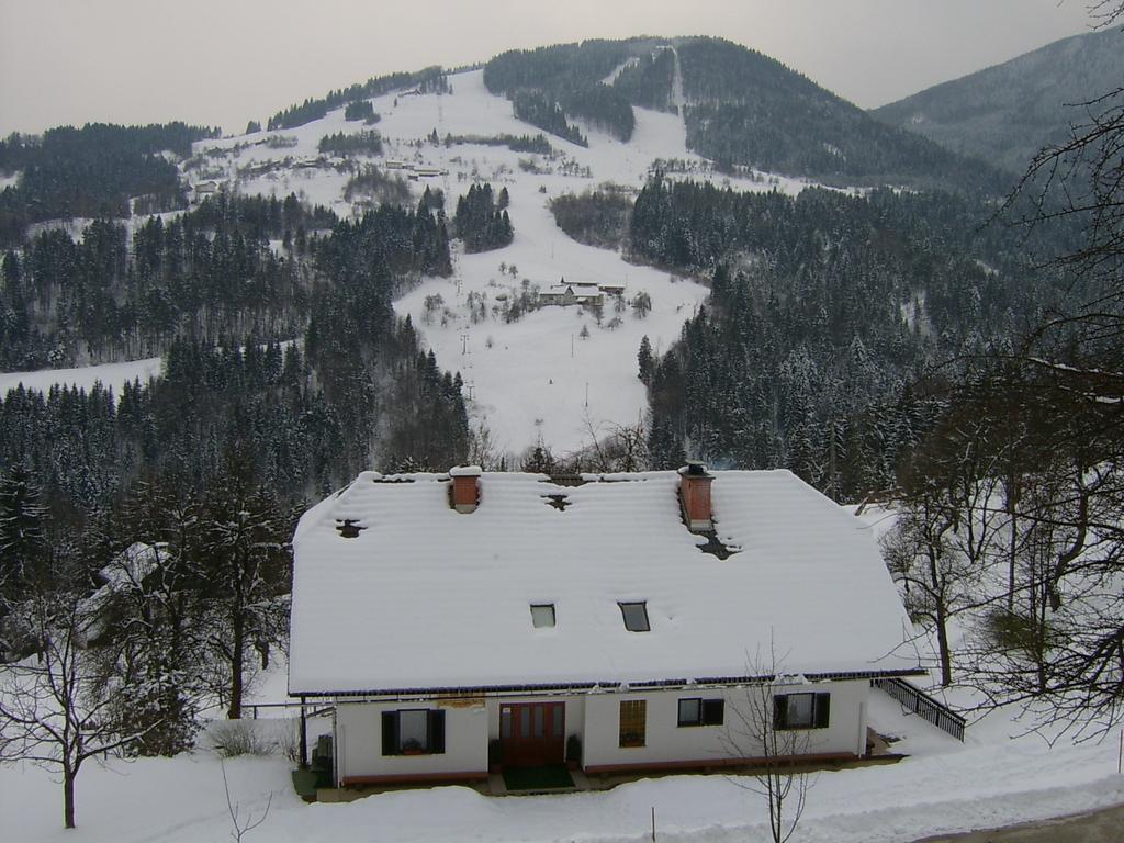 Apartments Zakrasnik Škofja Loka Kültér fotó