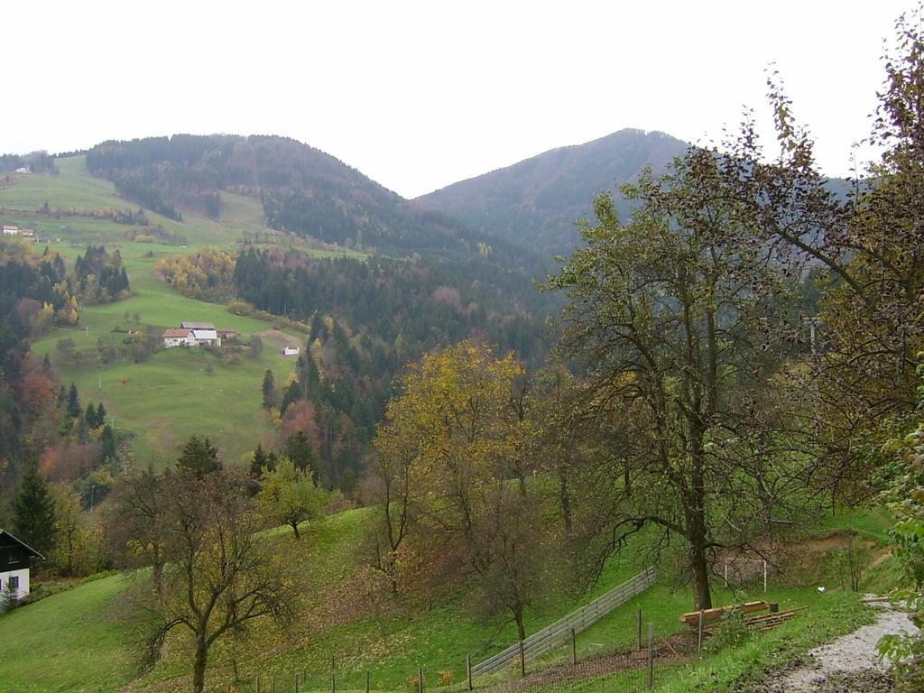 Apartments Zakrasnik Škofja Loka Kültér fotó